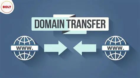 DNS Settings & Domain Transfer Guide for Webmasters